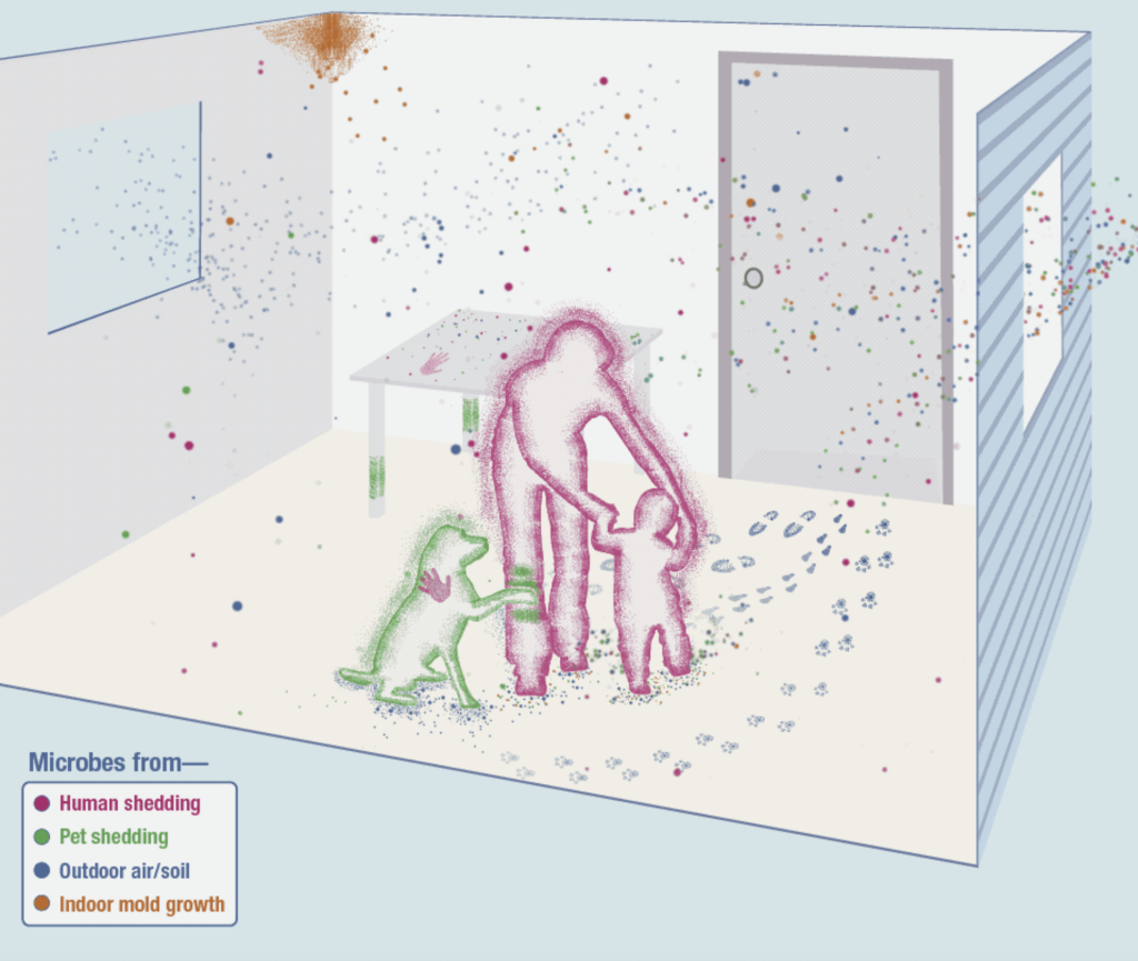 Indoor microbiome